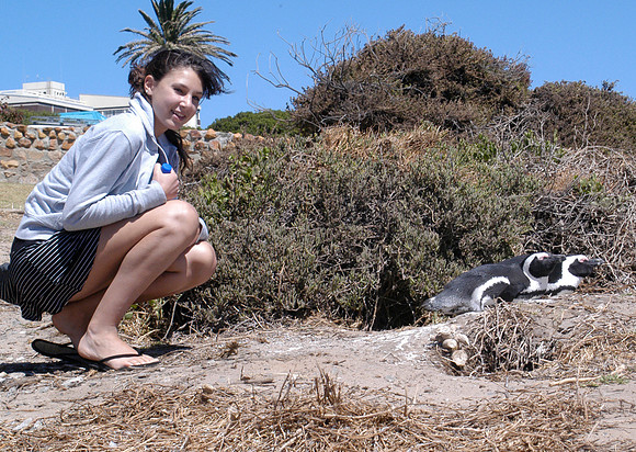 penguins libby