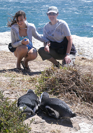 penguins 3
