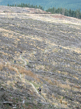 traquair clearing 3