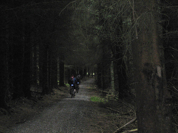 spooky wood
