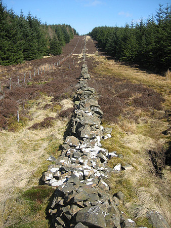 row of stones