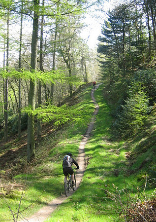 mabie climb