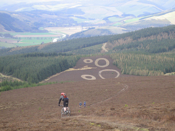 heather sculpture