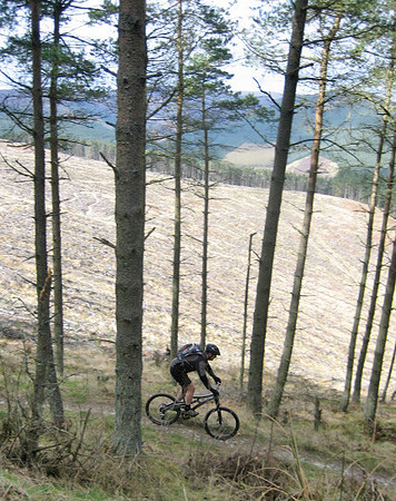 traquair clearing mk