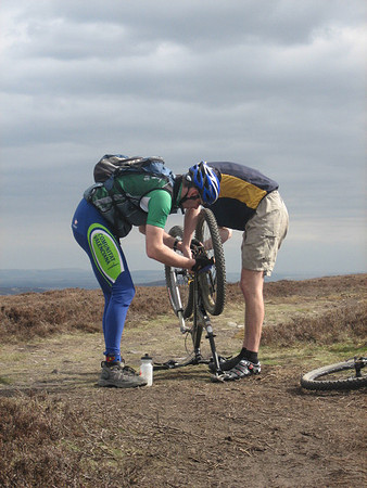 traquiar bike fettle