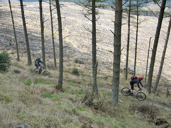 traquair clearing
