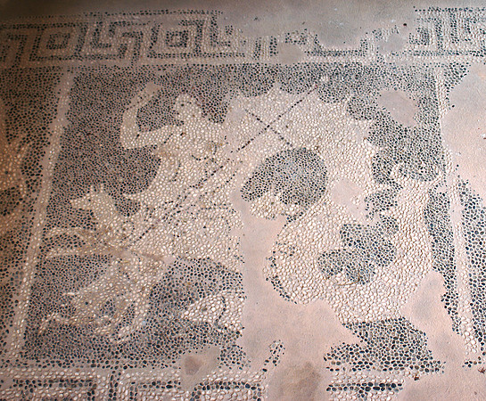 dionysus temple mosaic