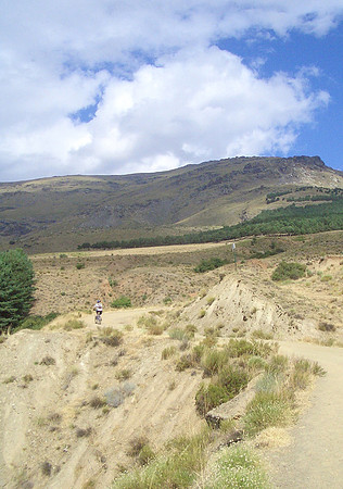 above trevelez 2