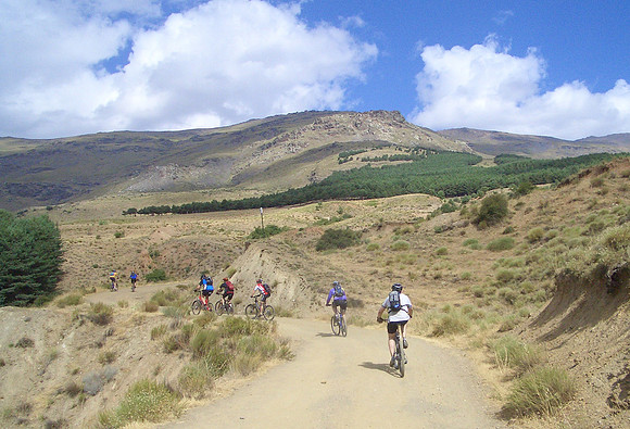 above trevelez