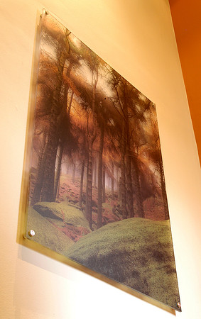 pines acrylicise 1