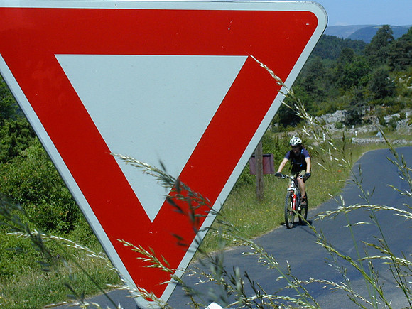 stop sign lucy