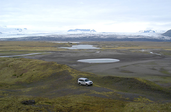 Stemmulon wilderness