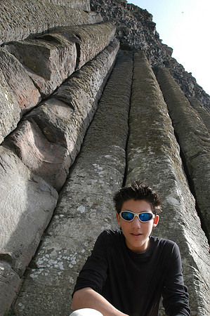 organ pipes r