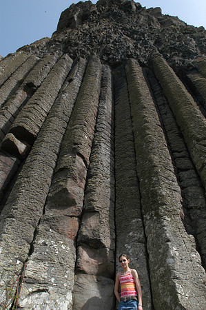 organ pipes l