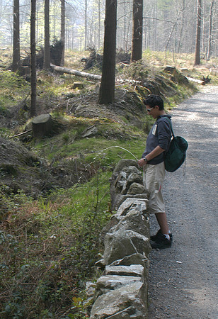 Tollymore r peeing