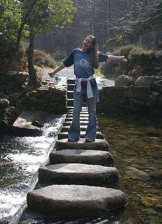 Tollymore l step stones