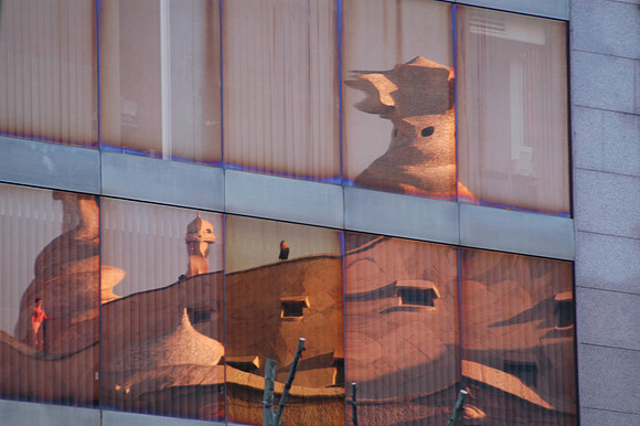 pedera reflect 1