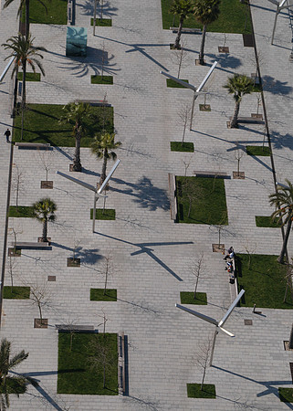 palms from cable
