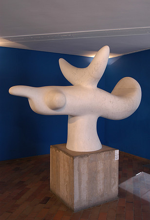 miro bird