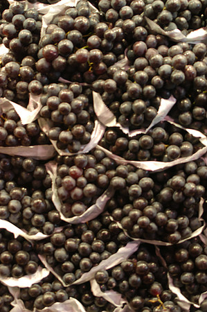 blk grapes