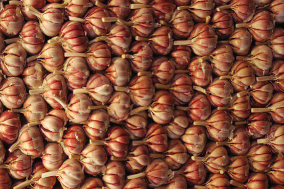 veg garlic