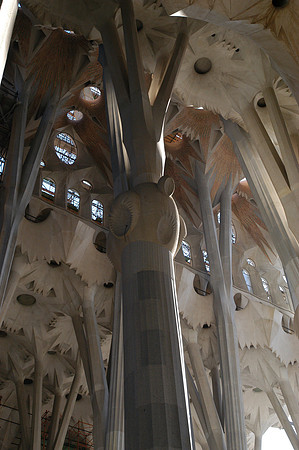 sagrada interior tree