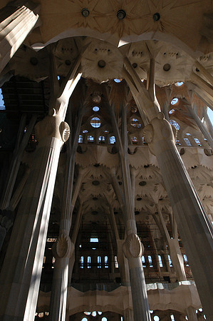 sagrada interior forest