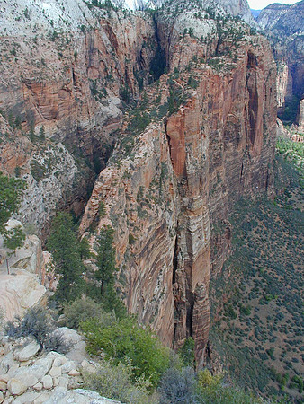 zion back from angels2 sep00