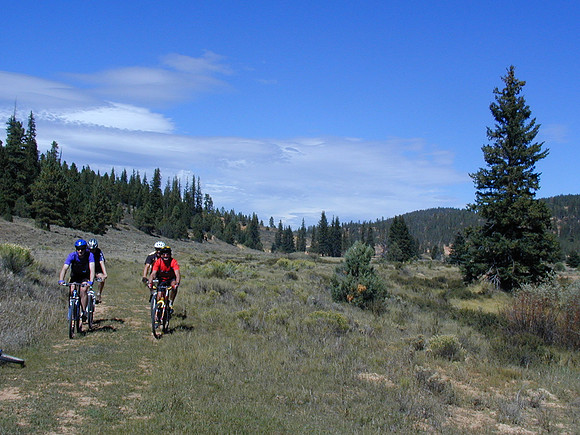 tropic meadow sep00