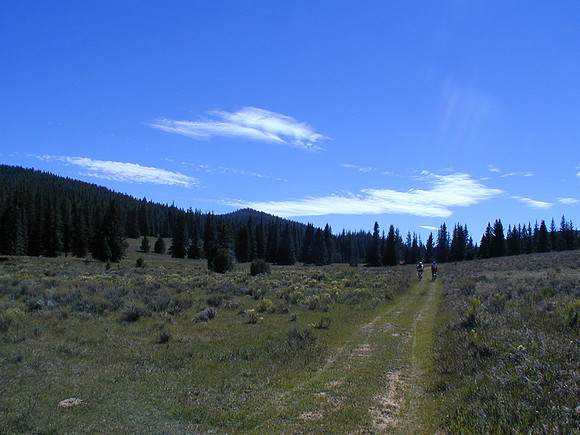 tropic meadow 2 sep00