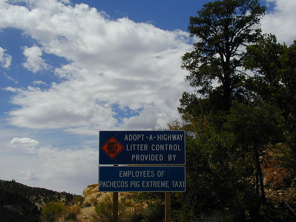 pig roadsign zion sep00
