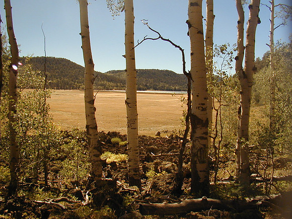 navajo lake aspens sep00