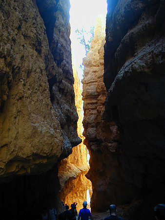 bryce slot