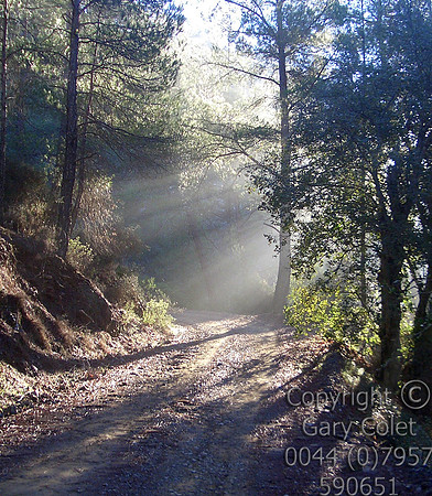 Gary Colet troodos sunrays