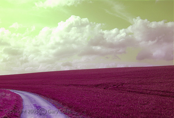 Gary Colet exton fields colourised
