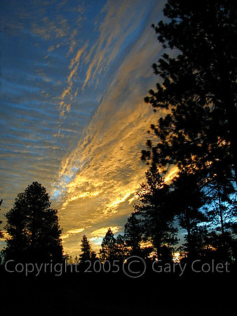 Gary Colet casto sunset