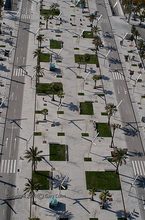 Gary Colet barcelona palms