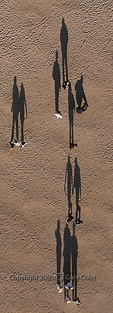 Gary Colet Walking shadows
