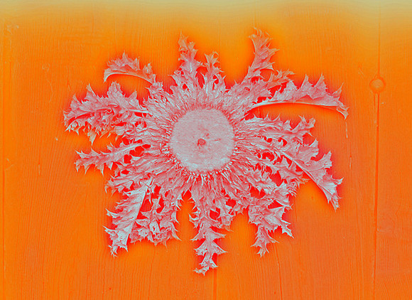 trad door decoration orange