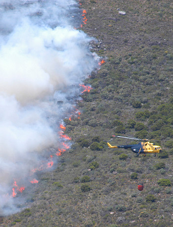 helicopter11