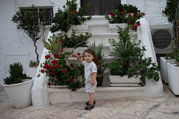 Ostuni Felix steps and plants