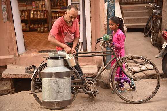 Milk seller, Jodhpur, Rajasthan
