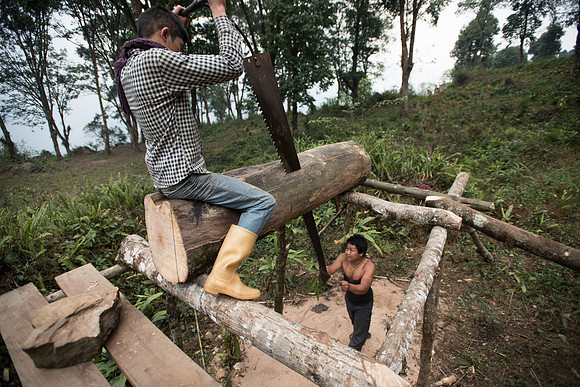 Plank sawing, building a house, near Yuksom, Sikkim