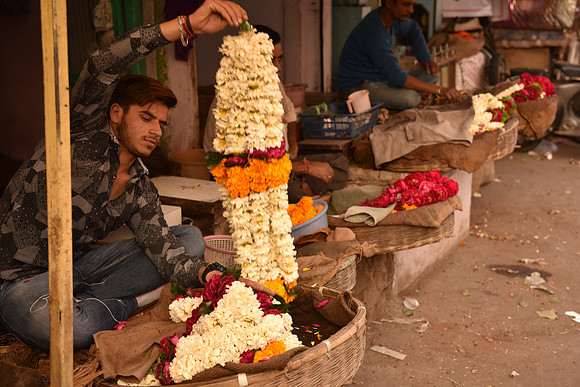 Wedding flowers, Jodhpur