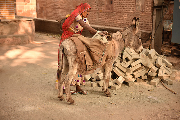 Jodhpur
