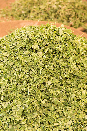 Jodhpur market