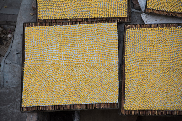 Flowers drying on roof of Khari Baoli, Delhi spice market