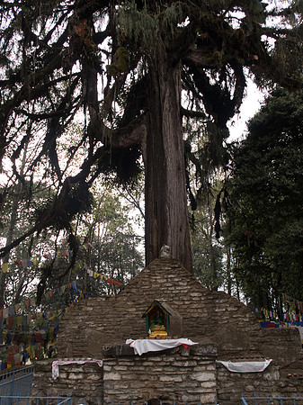 Gangtok