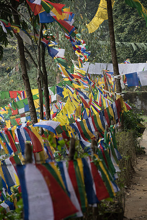 Holy lake, near Yuksom