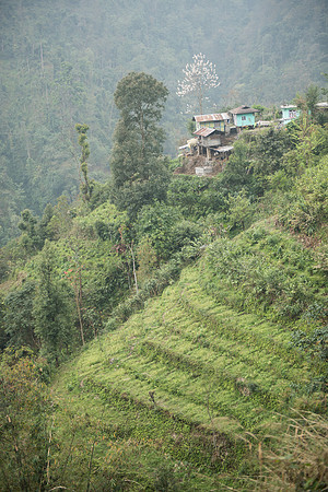Near Gangtok